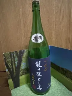 ビーバップハイスクール 中山美穂 今日子っちの臥龍梅720ml 2本 - メルカリ