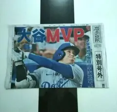 【BIG値下げ】大谷翔平　岩手日報号外　本日11月22日発行のサムネイル
