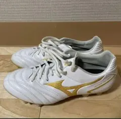 MIZUNO モナルシーダ NEO II SW 25.0
