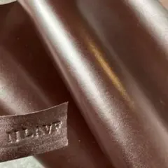 Item thumbnail for item 68c10ac6-533c-4259-8b8d-755d9d9a8b04