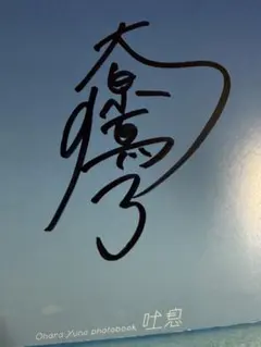 Item thumbnail for item 60e9c3bb-4c5b-4130-bebf-587ae8f80aea