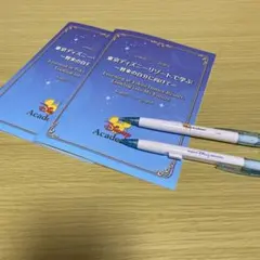 Disney Academy シャープペンシル 2本　冊子２冊 未使用未記入