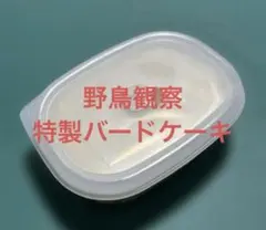 Item thumbnail for item 31e58f32-9963-4869-beac-84ebacc8d5c6