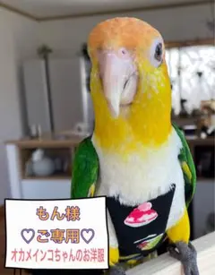 Item thumbnail for item 43f8d140-eea2-4b99-b63a-70daaa49aff3