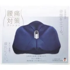 コジット 美姿勢 疲れにくい 背骨 のびのび腰痛対策 ウレタンクッション ネイビ