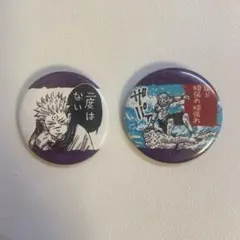 呪術廻戦 コレクション缶バッジ プチ 術 2個セット