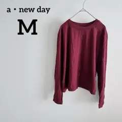 美品 a・new day M ワインレッド Tシャツ 長袖 春秋冬 古着