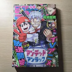 2026年最新】呪術廻戦雑誌切り抜きの人気アイテム - メルカリ