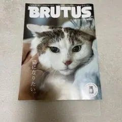 本日のみ最終値下BRUTUS 1017 猫になりたいブルータス人気猫ステッカー付