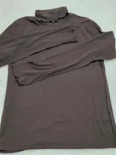 GU　ブラウン　タートル