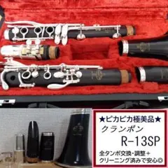 Item thumbnail for item 1d3a9fe7-074d-488e-a517-cee2d9e31512