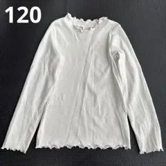 ☆フリルネック☆ ホワイトリブ長袖カットソー 子供服 120cm
