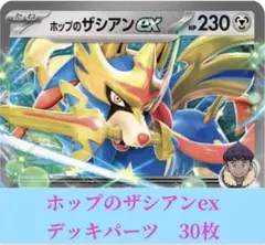 ポケモンカード 構築 済み デッキ ホップのザシアンex 134 - メルカリ