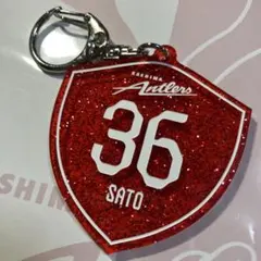 Item thumbnail for item 720f47bb-fe06-41c9-8402-8be77bb8d6f0