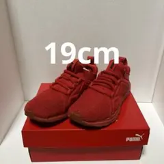 Item thumbnail for item acb03a15-b3f3-4a7b-8089-f37baa688304