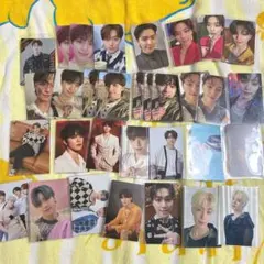 RT-25679様 専用SEVENTEEN ディノ　セット