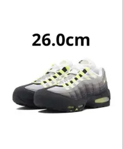 Nike Air Max 95 OG Big Bubble