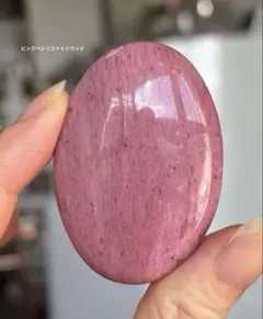 レア　高品質　ピンクペトリファイドウッド　珪化木　パーム　握り石