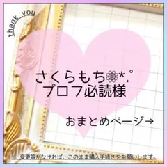 さくらもち❁⃘*.゜プロフ必読様 リクエスト 3点 まとめ商品