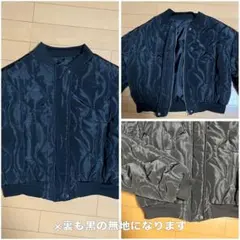 Item thumbnail for item a4129b27-047a-447c-9ec0-af9703efdd3c