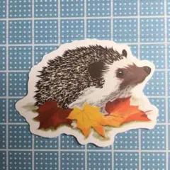 防水ステッカー　ハリネズミ　もみじ　紅葉