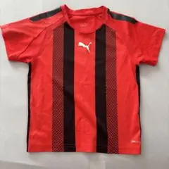 PUMA DRYCELL ストライプ Tシャツ 120