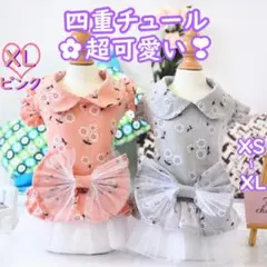 XL可愛いリボン付花柄チュールワンピース フリフリ綿スカート 春夏犬の服 猫服