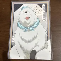 SPY×FAMILY TaS10th ポストカード ボンド　１枚　スパイファミリ