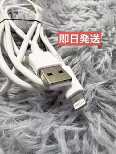 Lightning 充電ケーブル ホワイト　2m