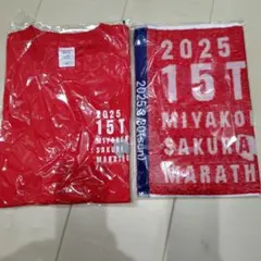 Item thumbnail for item 12f7bc85-e15c-4e5d-a9ec-b5f33f23e412