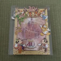 ドナルド ガーランド 黄緑 タペストリー ディズニー 40周年 - メルカリ