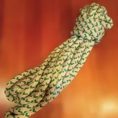 Item thumbnail for item 19ab3af2-00ee-4ef3-a9d8-e3c39ba32817