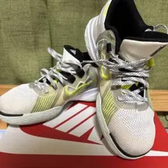Nike バッシュKyrie Flytrap 5