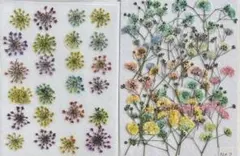 Item thumbnail for item 79932d8a-957b-431b-a3d6-d74cee957bcc