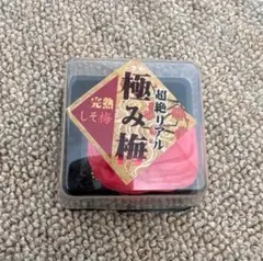 超絶リアル 極み梅 完熟しそ梅 スクイーズ レア