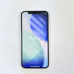 Item thumbnail for item 0d861a91-584d-409f-8364-f59ff77057a7