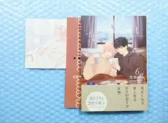 君となら恋をしてみても 6 とらのあな 窪田マル