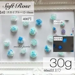 【s8】ソフトローズミックス スカイブルー 30g…400円