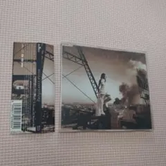 Misia/everything