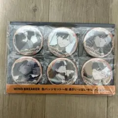 新品 WIND BREAKER 桜遥がいっぱいセレクション 缶バッジ セット