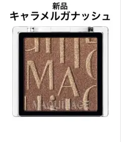 マキアージュ　 アイシャドウ 運命のブラウンカラー キャラメルガナッシュ