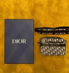 早い者勝ち 定価34万円 DIOR サファリバッグ【正規品・付属品完備】のサムネイル