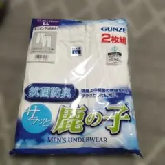 メンズ　アンダーウェア　半ズボン下　前あきタイプ　2枚セット★グンゼ