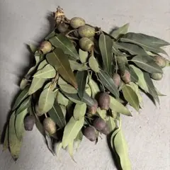 Ne*　インスタ　@ne_0403様 リクエスト 2点 まとめ商品