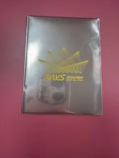 SnowMan 岩本照　Rays チケット風カード