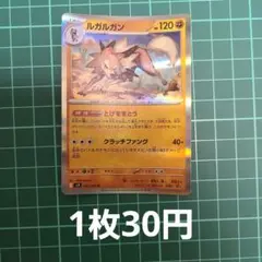 ポケカ ルガルガン 【在庫4枚】のサムネイル