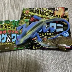 Item thumbnail for item f61d3718-a4d7-49c4-bc62-a48c40a24e69