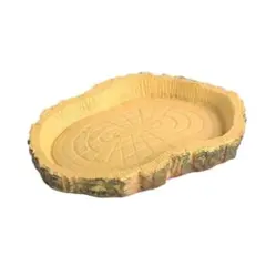 リクガメ用 水飲み場 11cm×8cm エサ入 エサ皿 水入れのサムネイル
