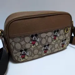 Item thumbnail for item 2390f2cd-4a22-4589-a782-d20ba8d6e5b1