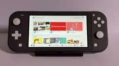 Nintendo Switch Lite グレー 充電器・ケース付き